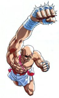 Sagat91